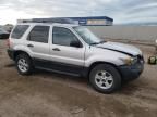 2007 Ford Escape XLT