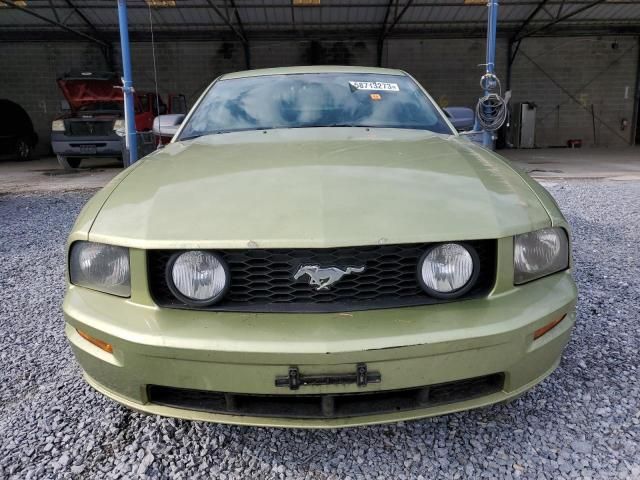 2005 Ford Mustang