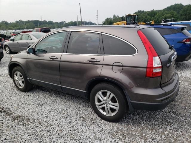 2010 Honda CR-V EXL