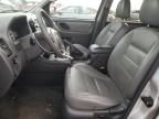 2007 Ford Escape XLT