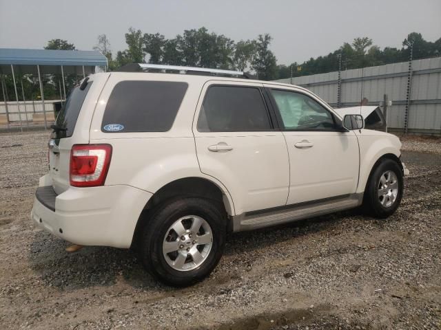 2010 Ford Escape Limited