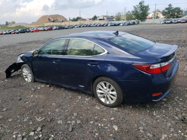 2013 Lexus ES 300H