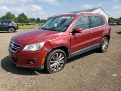 Salvage cars for sale at Columbia Station, OH auction: 2010 Volkswagen Tiguan SE