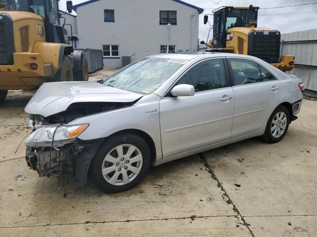 2009 Toyota Camry Hybrid