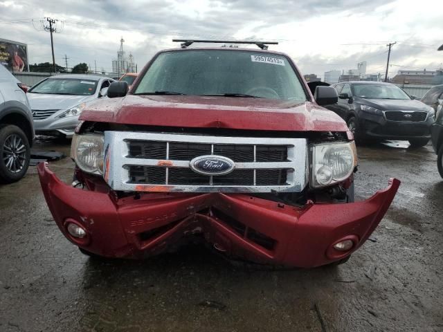 2008 Ford Escape XLT