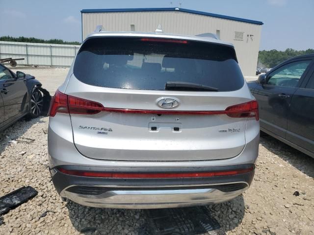 2021 Hyundai Santa FE Blue