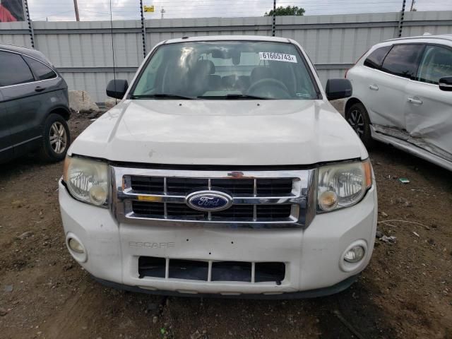 2010 Ford Escape XLT