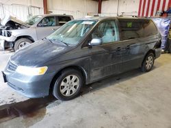 Salvage cars for sale at Billings, MT auction: 2003 Honda Odyssey EX