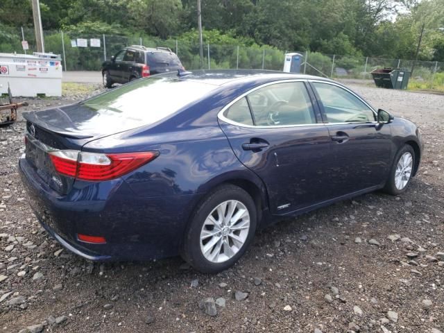 2013 Lexus ES 300H