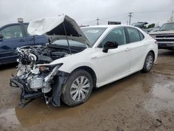 Salvage cars for sale at Dyer, IN auction: 2019 Toyota Camry LE