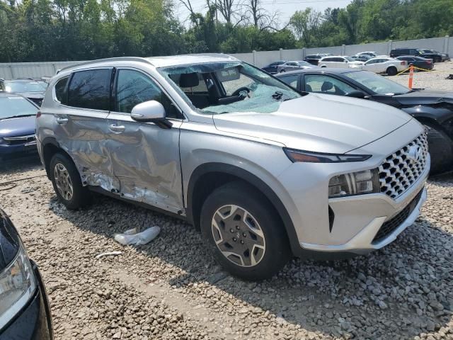 2021 Hyundai Santa FE Blue