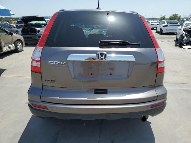 2010 Honda CR-V EXL