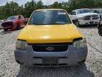 2002 Ford Escape XLT