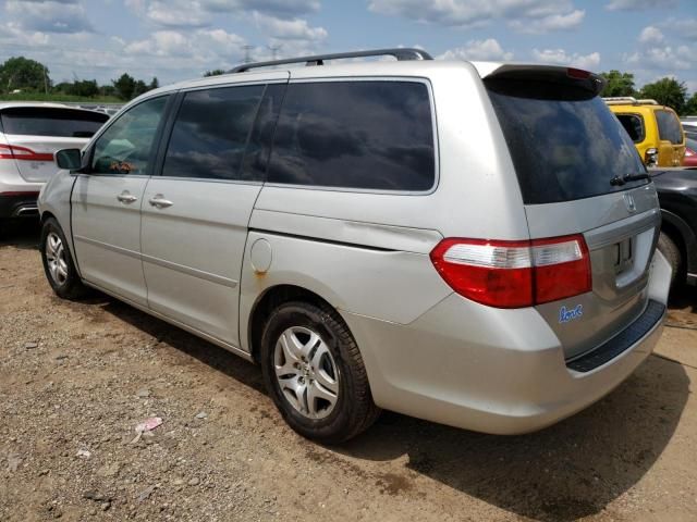 2005 Honda Odyssey EXL