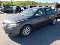 Toyota salvage cars for sale: 2008 Toyota Camry Hybrid