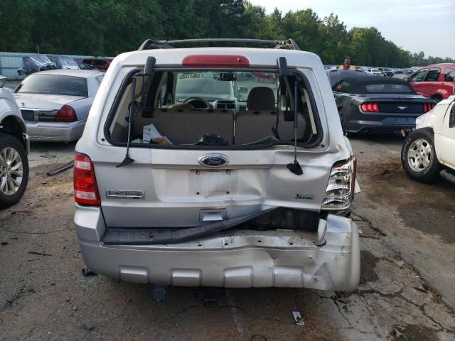 2010 Ford Escape XLT