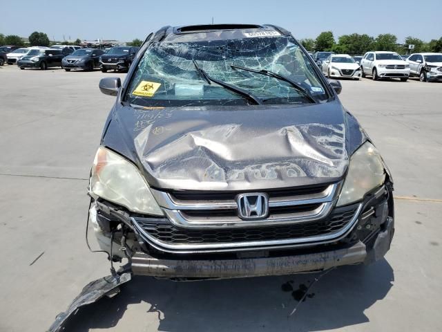 2010 Honda CR-V EXL