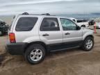 2007 Ford Escape XLT