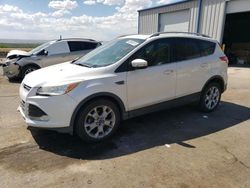Vehiculos salvage en venta de Copart Albuquerque, NM: 2014 Ford Escape Titanium
