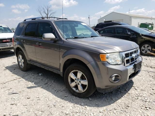 2010 Ford Escape Limited