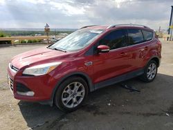 Salvage cars for sale from Copart Albuquerque, NM: 2014 Ford Escape Titanium