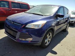 Salvage cars for sale from Copart Martinez, CA: 2014 Ford Escape SE