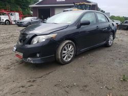 Salvage cars for sale from Copart West Warren, MA: 2010 Toyota Corolla Base