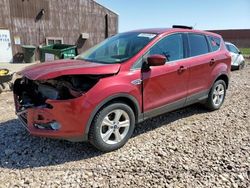 Salvage cars for sale at Rapid City, SD auction: 2015 Ford Escape SE