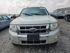 2009 Ford Escape Limited