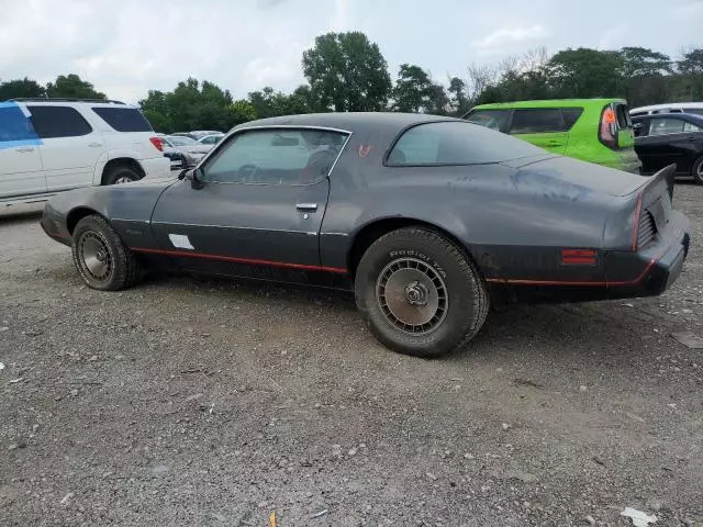 1980 Pontiac Firebird T