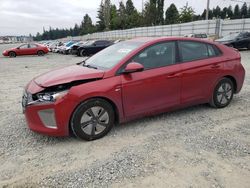 Salvage cars for sale at Graham, WA auction: 2019 Hyundai Ioniq Blue