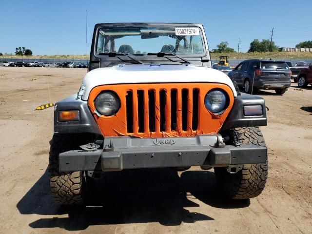 2001 Jeep Wrangler / TJ Sahara