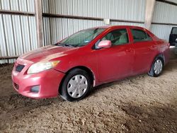 Carros dañados por inundaciones a la venta en subasta: 2010 Toyota Corolla Base