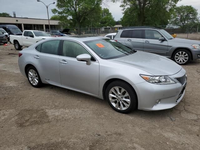 2013 Lexus ES 300H