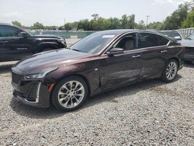 Cadillac salvage cars for sale: 2020 Cadillac CT5 Premium Luxury