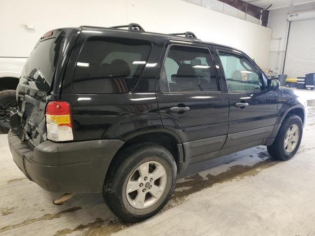 2005 Ford Escape XLT