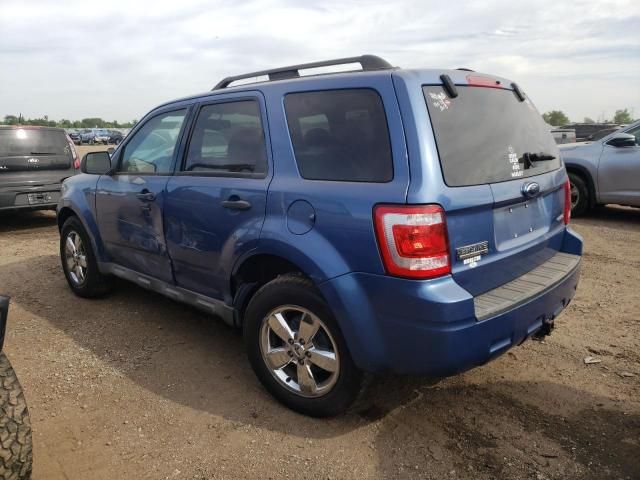 2009 Ford Escape XLT