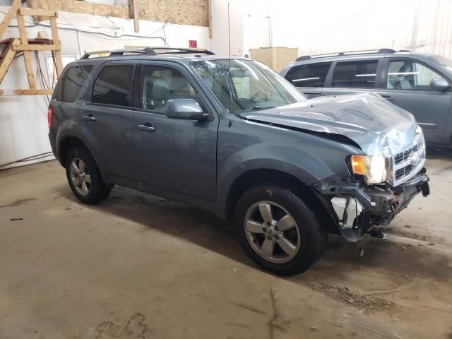 2011 Ford Escape Limited