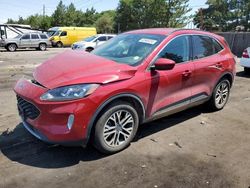 Ford salvage cars for sale: 2020 Ford Escape SEL