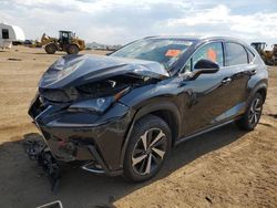 Salvage cars for sale at Brighton, CO auction: 2021 Lexus NX 300 Base