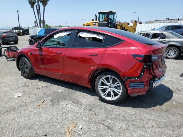 2024 Tesla Model Y