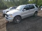 2002 Mercedes-Benz ML 500