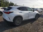 2024 Lexus NX 250 Base