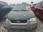 2002 Ford Escape XLT