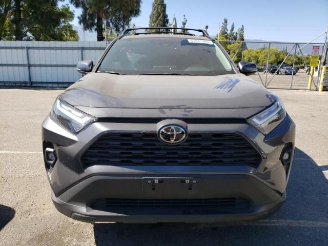 2023 Toyota Rav4 XLE Premium