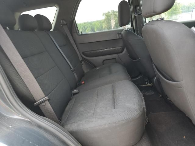 2008 Ford Escape XLT