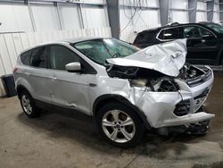 Salvage cars for sale at Ham Lake, MN auction: 2013 Ford Escape SE