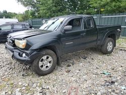 Toyota salvage cars for sale: 2008 Toyota Tacoma Access Cab