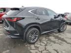 2023 Lexus NX 350