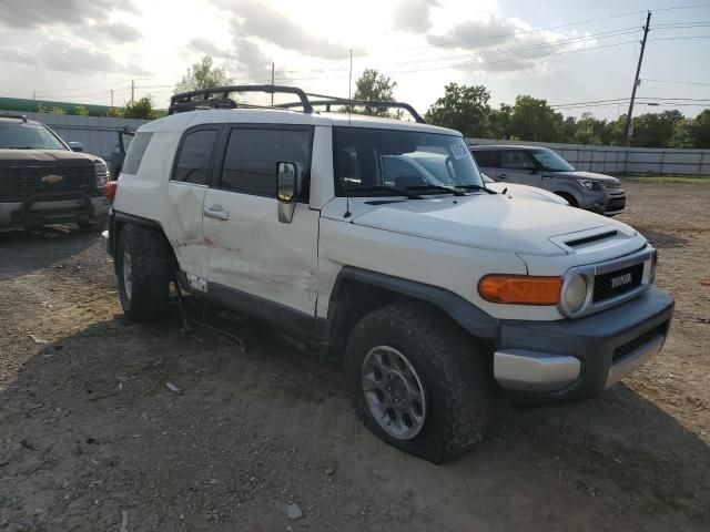 2013 Toyota FJ Cruiser